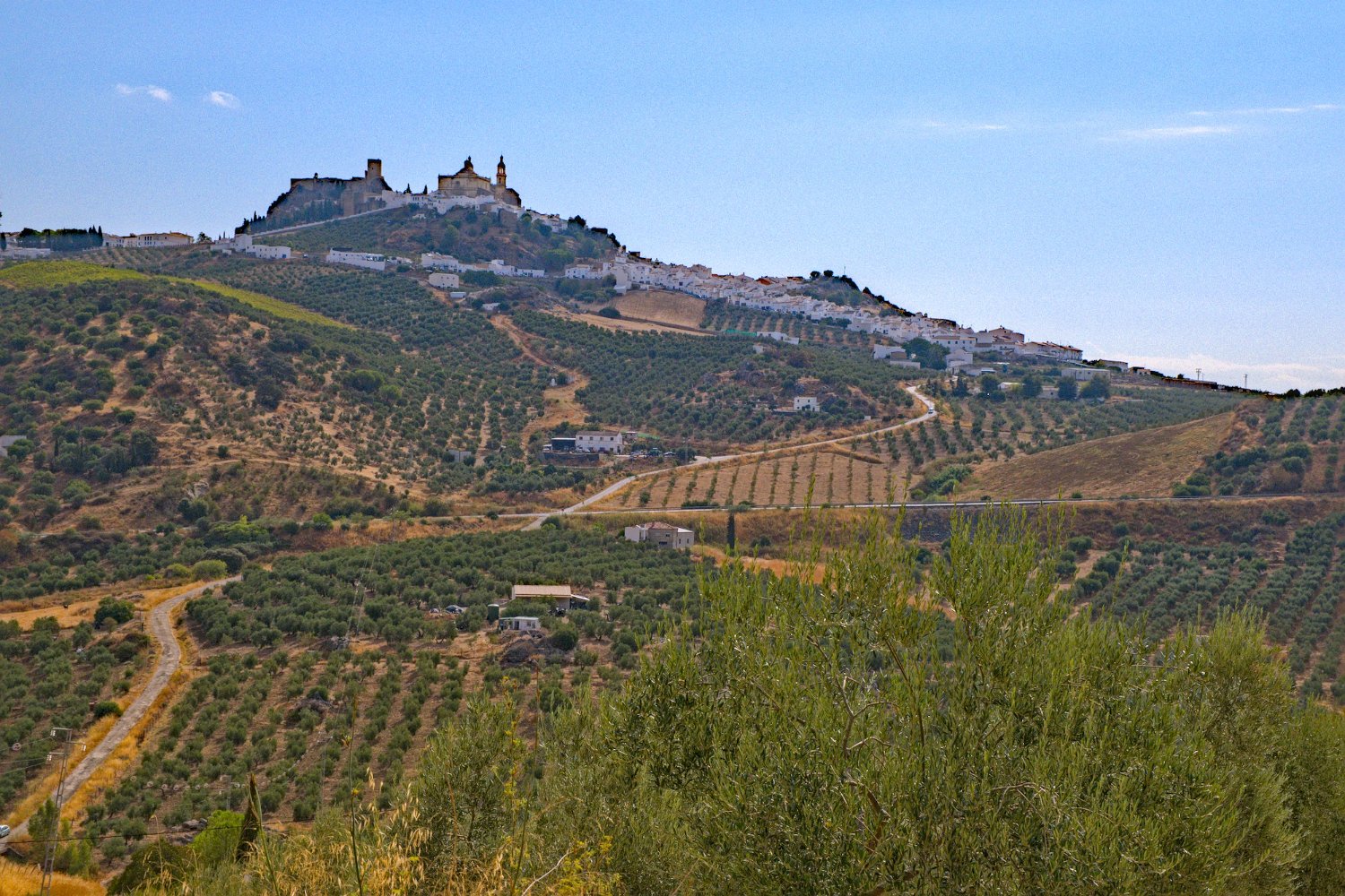 Olvera dans son environnement