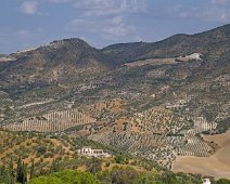 Vue sur la campagne environnante - Oliveraies